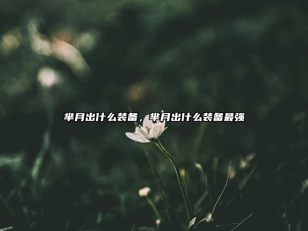 羋月出什么裝備，羋月出什么裝備最強(qiáng)