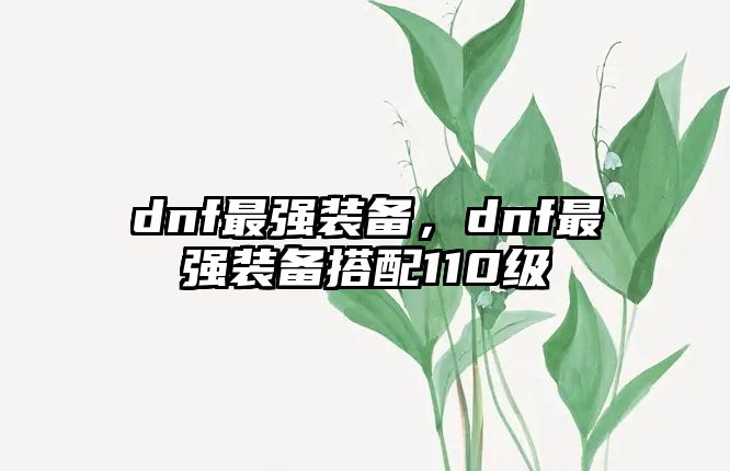 dnf最強(qiáng)裝備，dnf最強(qiáng)裝備搭配110級(jí)