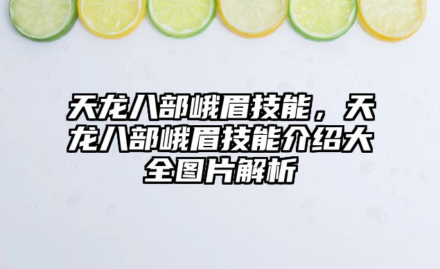 天龍八部峨眉技能，天龍八部峨眉技能介紹大全圖片解析