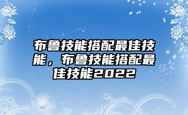 布魯技能搭配最佳技能，布魯技能搭配最佳技能2022