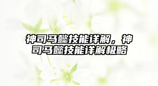 神司馬懿技能詳解，神司馬懿技能詳解極略