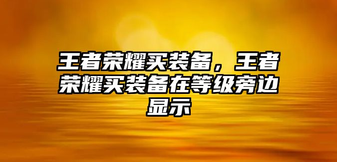 王者榮耀買裝備，王者榮耀買裝備在等級(jí)旁邊顯示