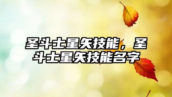 圣斗士星矢技能，圣斗士星矢技能名字