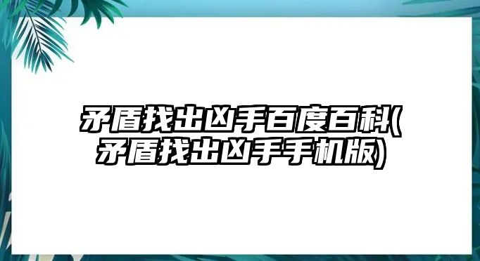 矛盾找出兇手百度百科(矛盾找出兇手手機(jī)版)