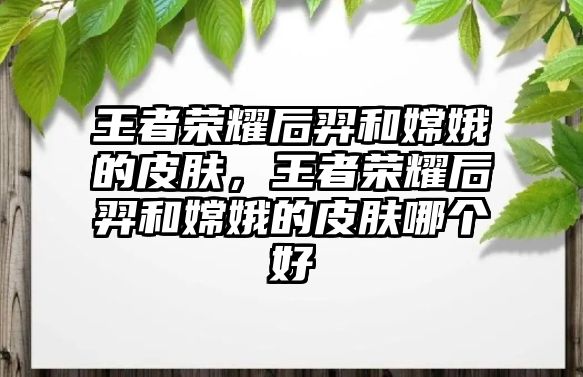 王者榮耀后羿和嫦娥的皮膚，王者榮耀后羿和嫦娥的皮膚哪個(gè)好