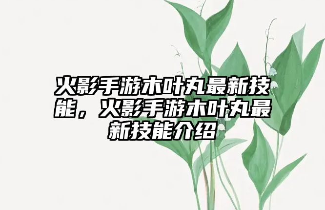 火影手游木葉丸最新技能，火影手游木葉丸最新技能介紹