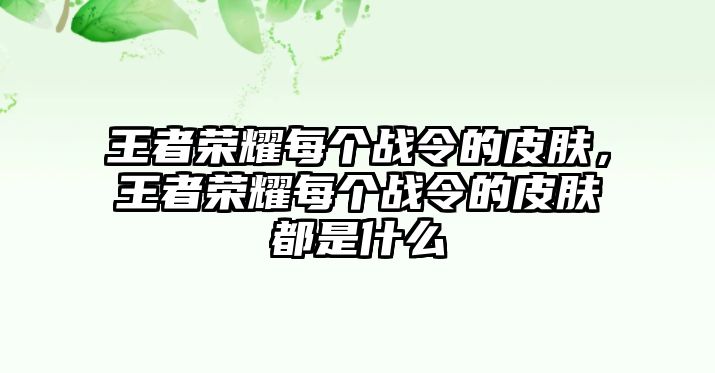 王者榮耀每個戰(zhàn)令的皮膚，王者榮耀每個戰(zhàn)令的皮膚都是什么