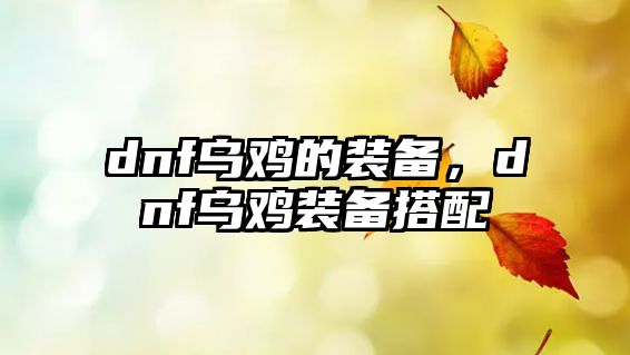 dnf烏雞的裝備，dnf烏雞裝備搭配