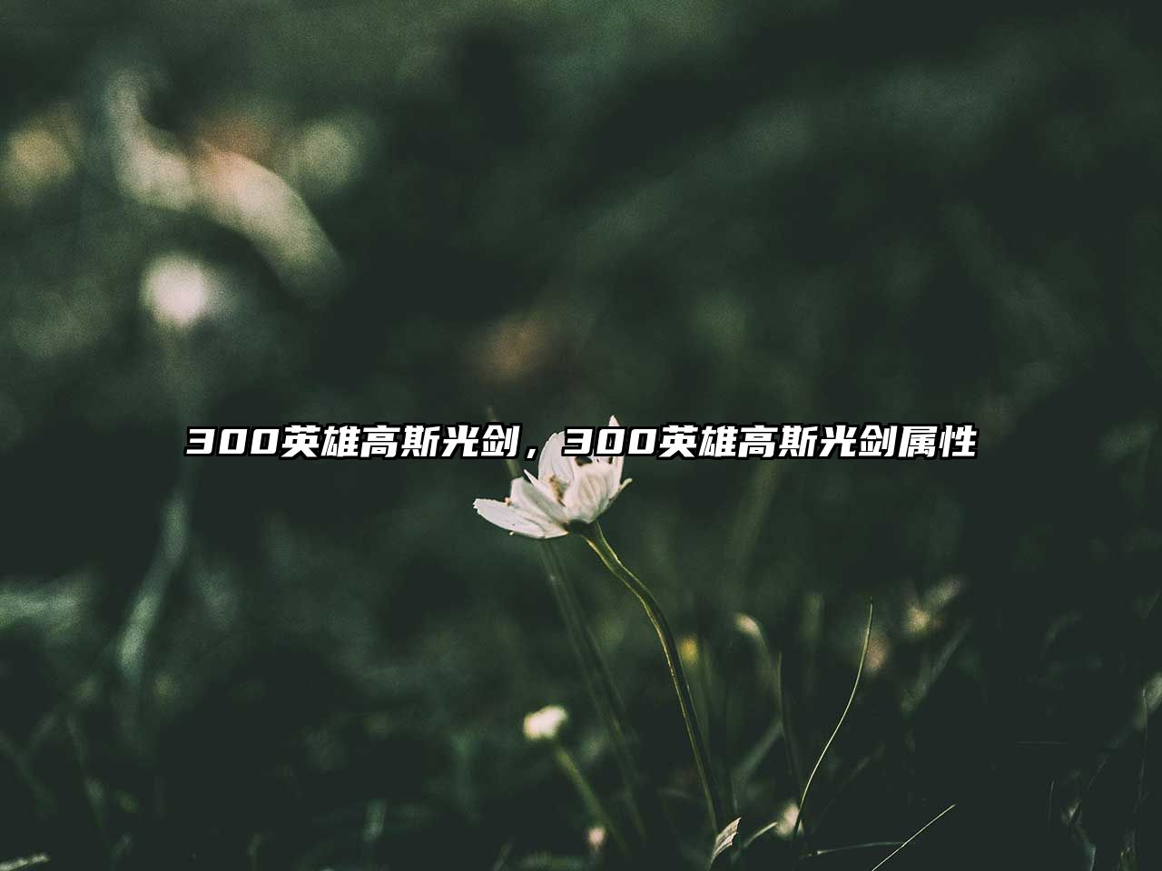 300英雄高斯光劍，300英雄高斯光劍屬性