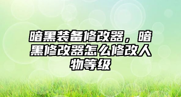 暗黑裝備修改器，暗黑修改器怎么修改人物等級(jí)