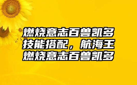 燃燒意志百獸凱多技能搭配，航海王燃燒意志百獸凱多