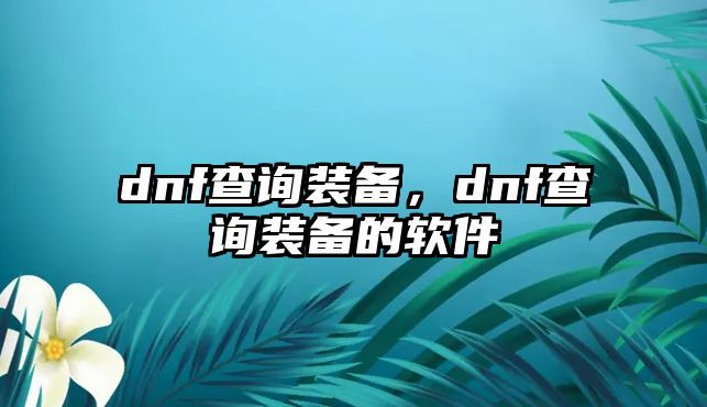 dnf查詢裝備，dnf查詢裝備的軟件