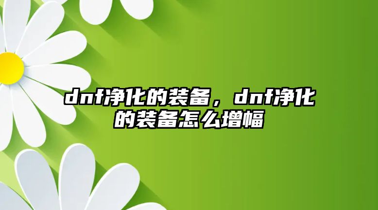 dnf凈化的裝備，dnf凈化的裝備怎么增幅