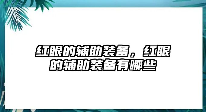 紅眼的輔助裝備，紅眼的輔助裝備有哪些