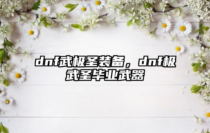 dnf武極圣裝備，dnf極武圣畢業(yè)武器