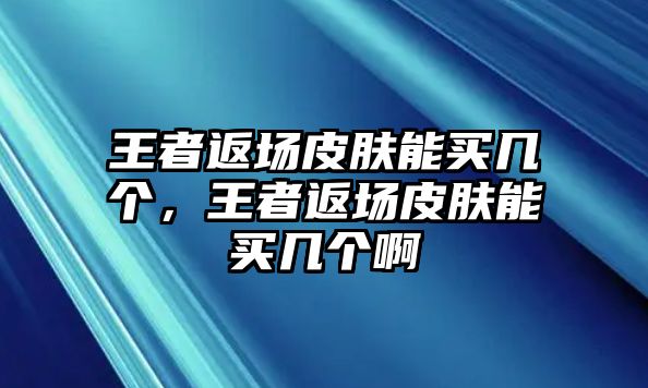 王者返場皮膚能買幾個，王者返場皮膚能買幾個啊