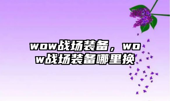 wow戰(zhàn)場裝備，wow戰(zhàn)場裝備哪里換