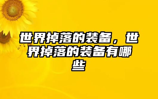 世界掉落的裝備，世界掉落的裝備有哪些